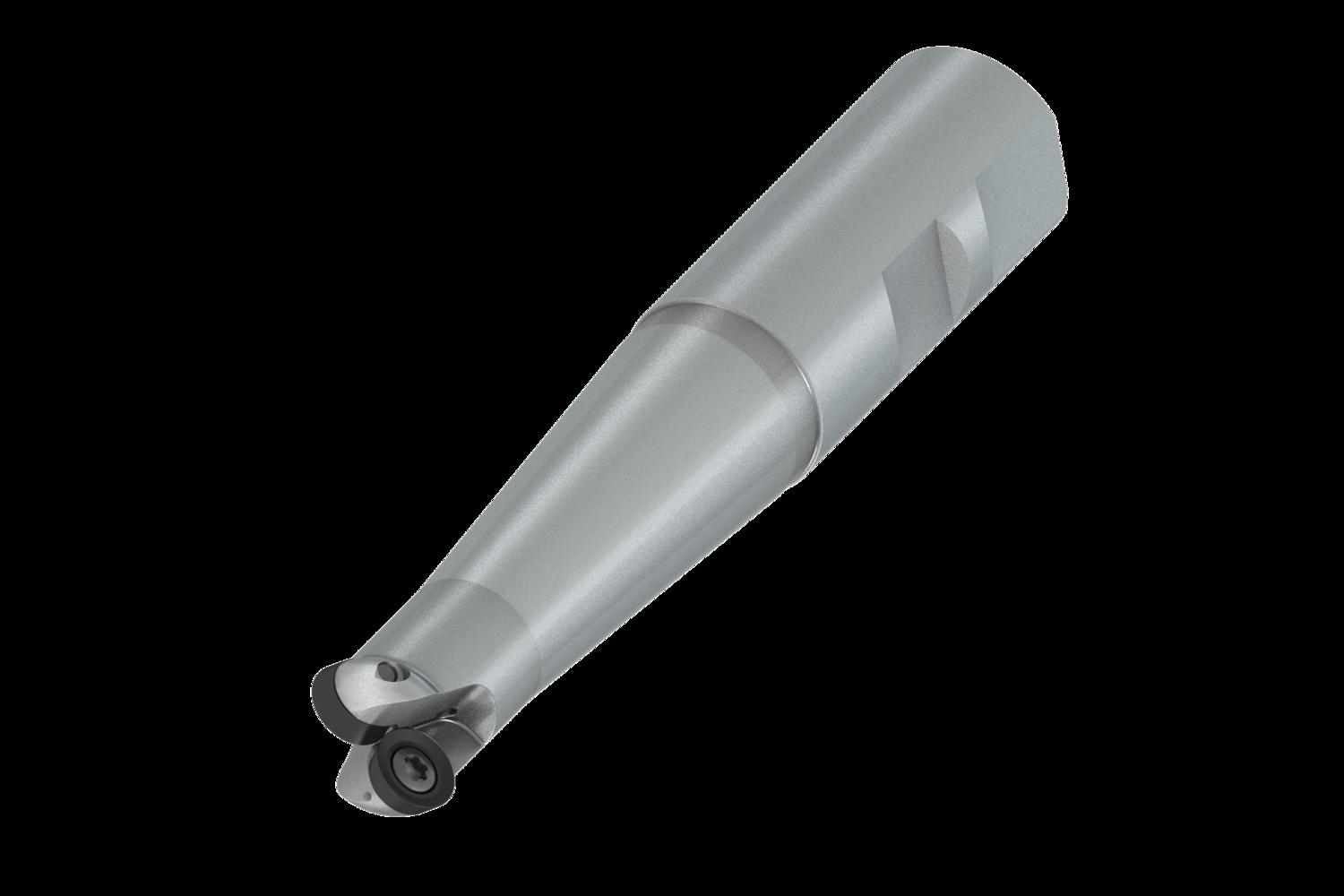 PRAMET 20E2R080B25-SRD10-CF Milling cutters for D&M