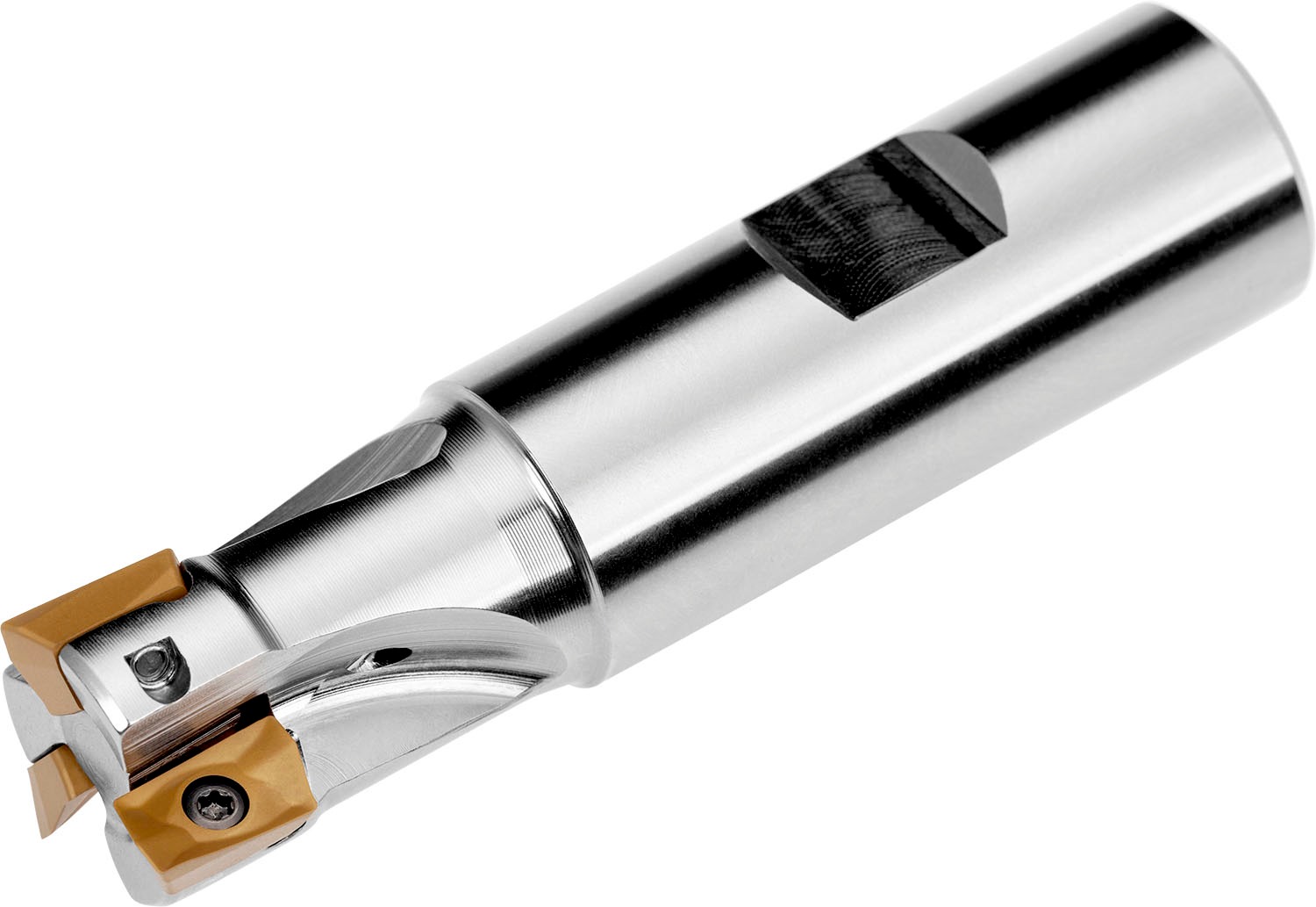 PRAMET 25A4R042B25-SAD11E-C Milling cutters with clamping by screw