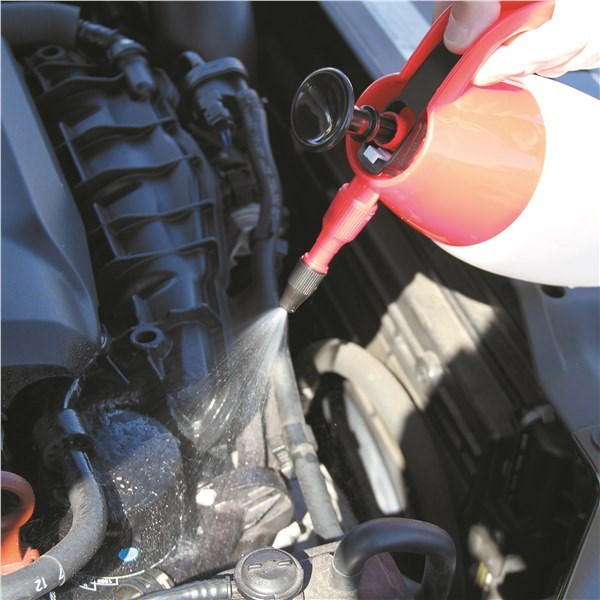 TOLEDO PRESSURE SPRAYER PUMP ACTION 1L - Image 3