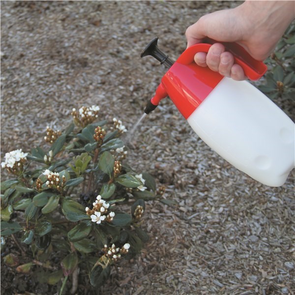 TOLEDO PRESSURE SPRAYER PUMP ACTION 1L - Image 5