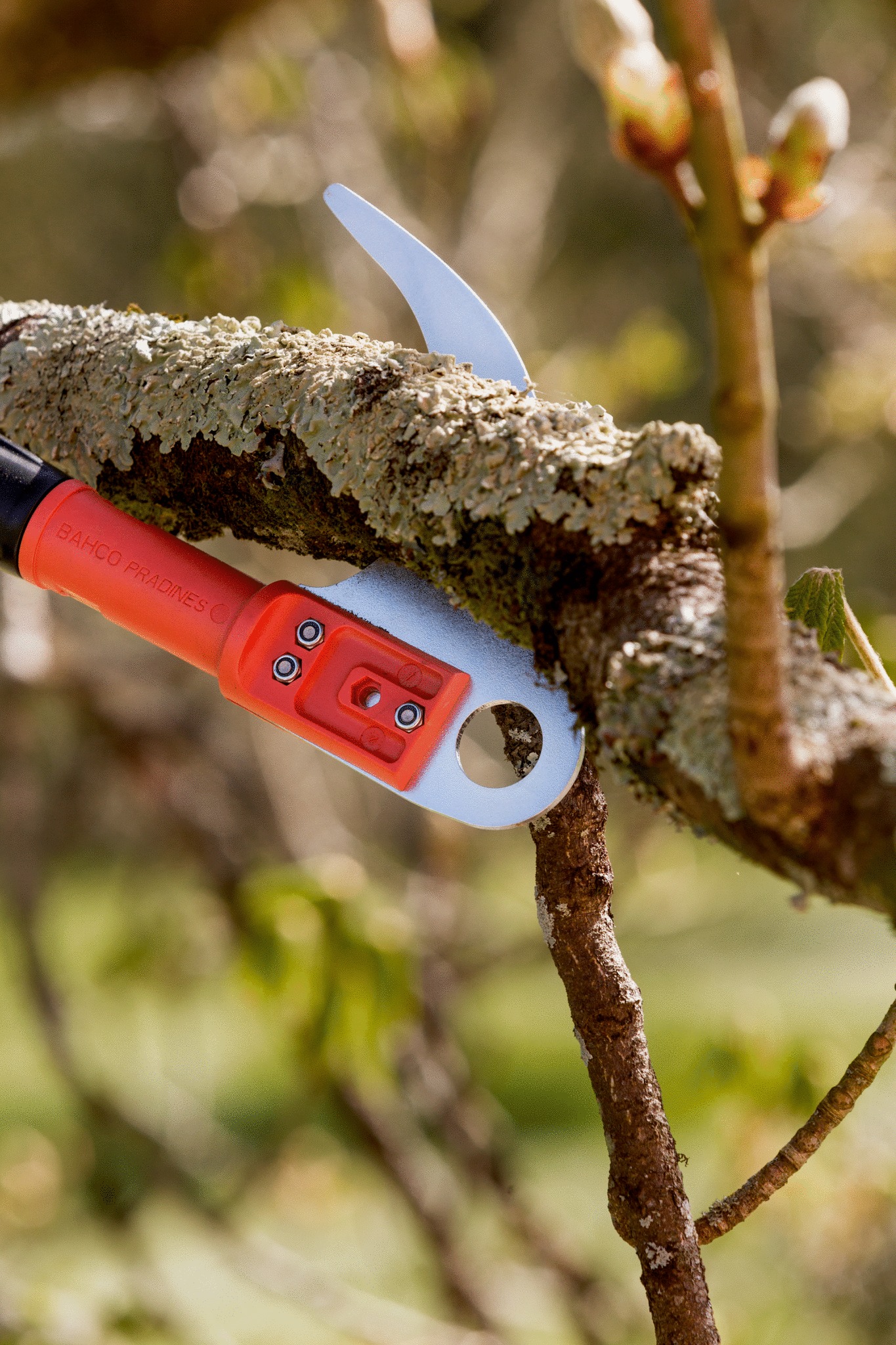 Bahco Pole Hook with Adaptor for ASP and ATP Poles - Image 5