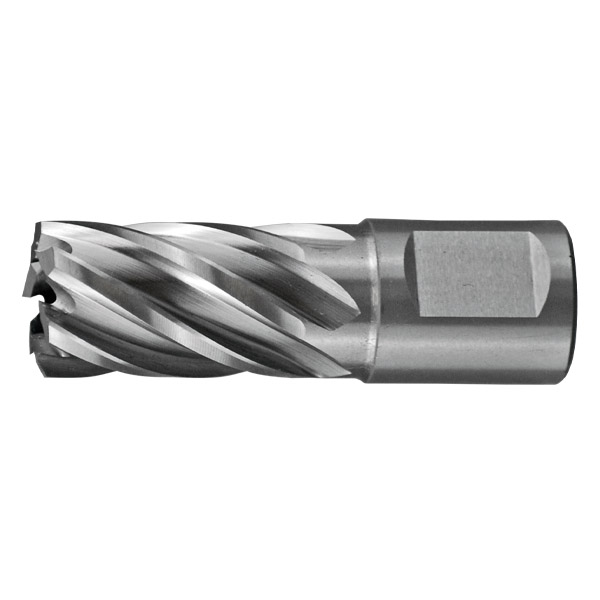 HOLEMAKER SILVER SERIES ANNULAR CUTTER, 1" X 1"