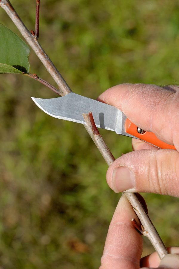 Bahco Grafting Knife - Image 3