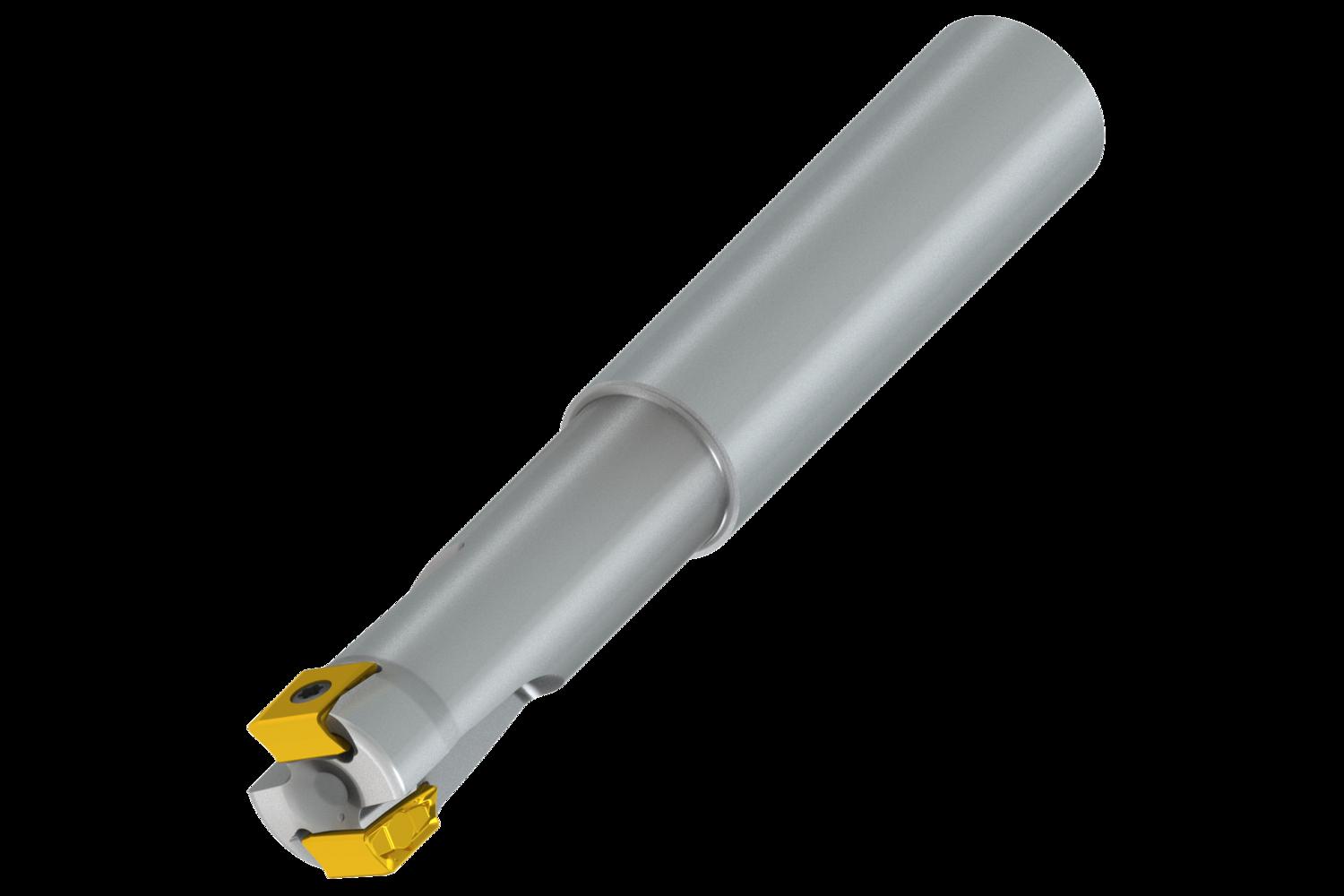 PRAMET 25A2R080A25-SLN12X-C Milling cutters with clamping by screw