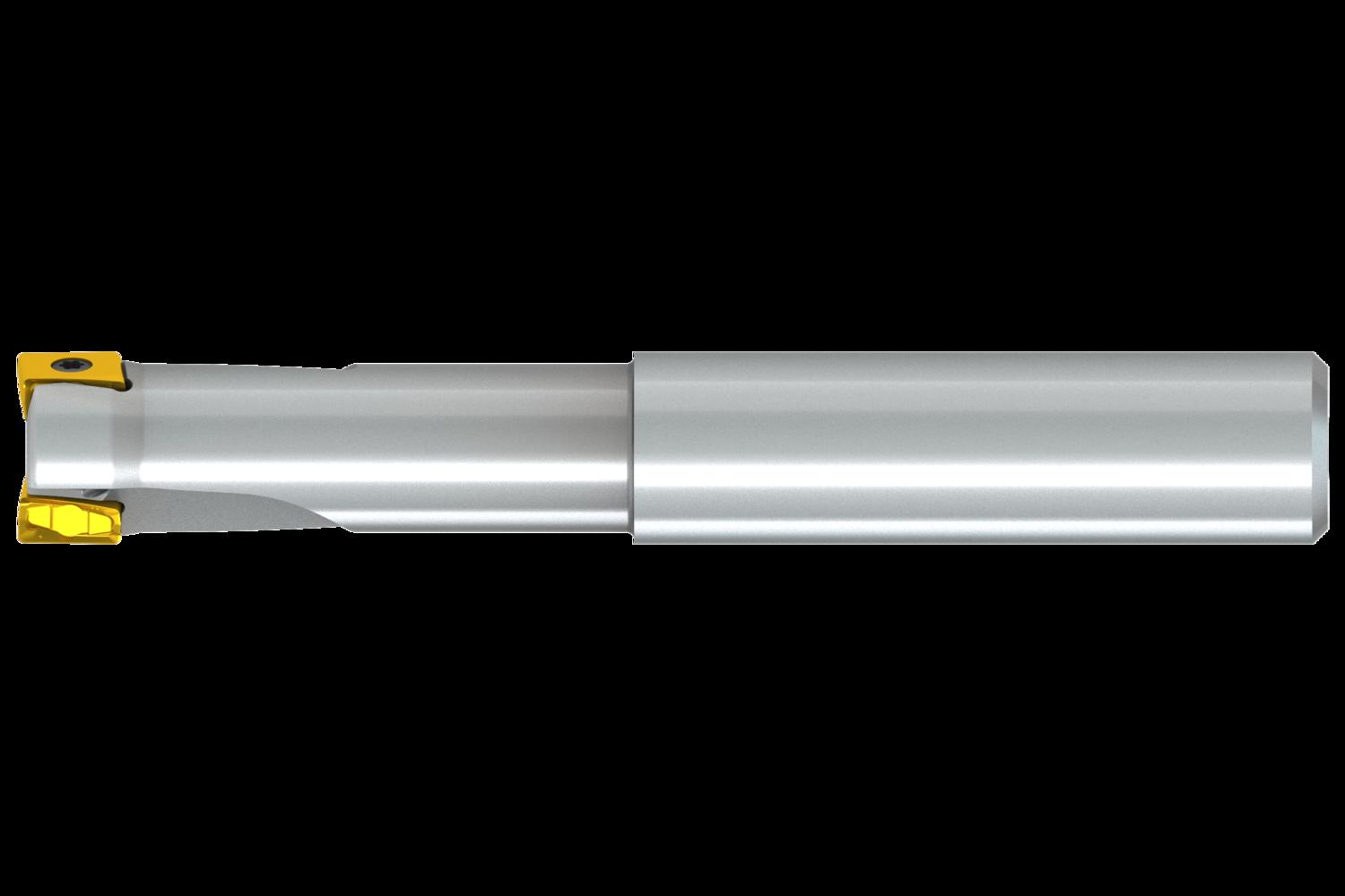 PRAMET 25A2R080A25-SLN12X-C Milling cutters with clamping by screw - Image 3